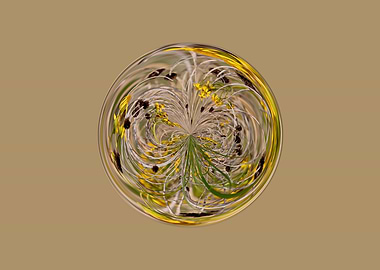 Yellow wildflower abstract