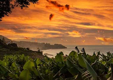 Madeira, Portugal island