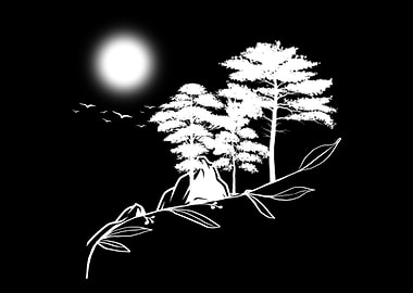 Outdoor Nature Forest