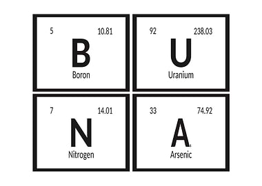 Buna Elements