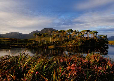 Pine Island at sunset