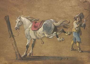 A white horse kicking out