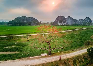 Vietname Landscape