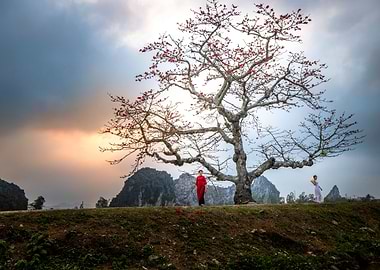 Beautiful girl at sunset