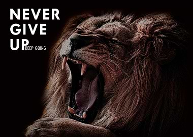 Never Give Up