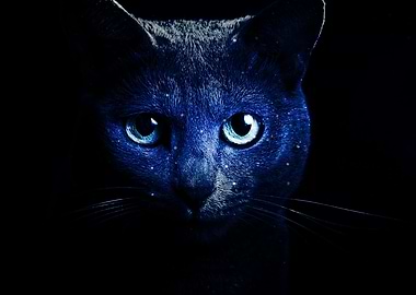cat blue art