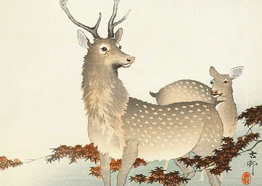 Japanese Deers Ohara Print