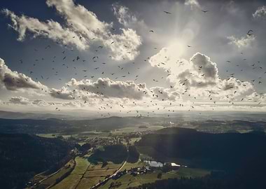 Beautiful Sky with Birds