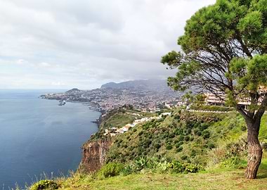 Madeira Portugal Funchal