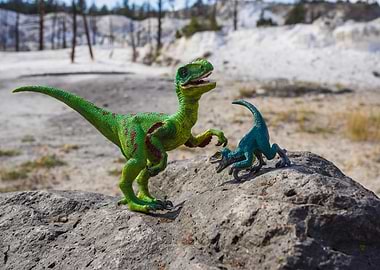 Velociraptor and Friend