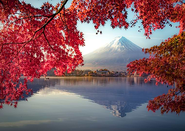 Mountain Fuji red leaves