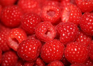 Fresh red berries close up