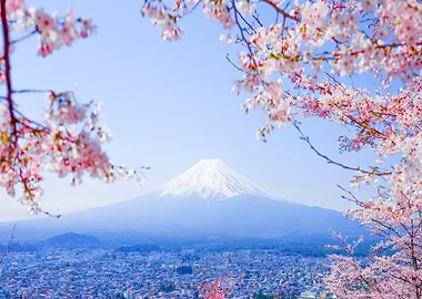 Mountain Fuji Japan