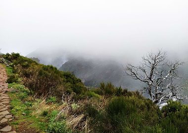 Madeira Mountain Route