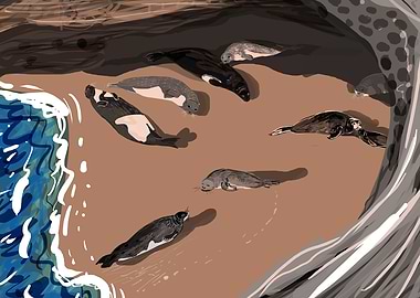 Mediterranean Monk seal