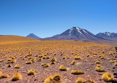Atacama Landscape