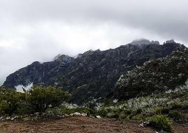 Madeira Mountains View