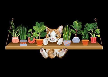 Playful Kitten Plant