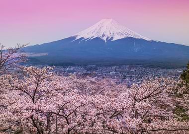 Beautiful Japan Fuji