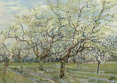 Orchard with Blossoming