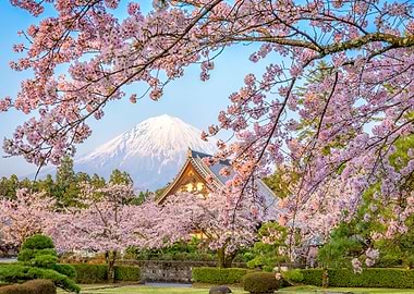 Japan in Spring