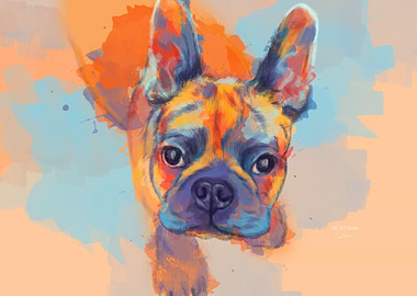 CuteFrench Bulldog