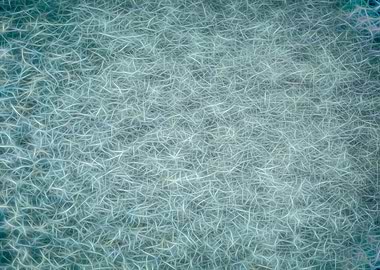 The Organic Digital Web