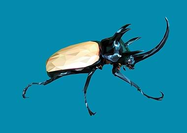 Rhinoceros beetles