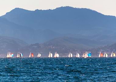 Sailing Race
