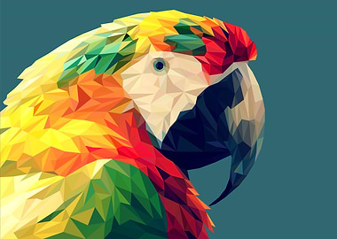 Macaw