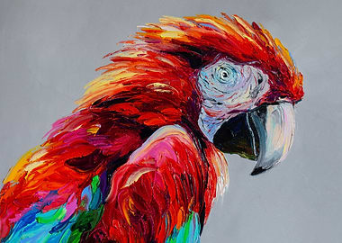 Macaw