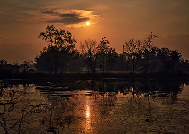 The Golden light sky