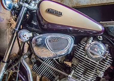 Motorcycle and chromes