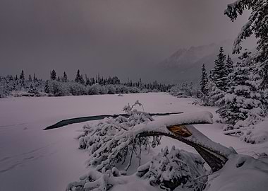 Snowy Alaska