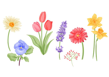 Beautiful Spring Flowers