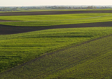 Fields Patchwork