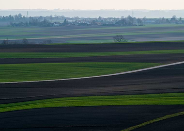 Fields Patchwork