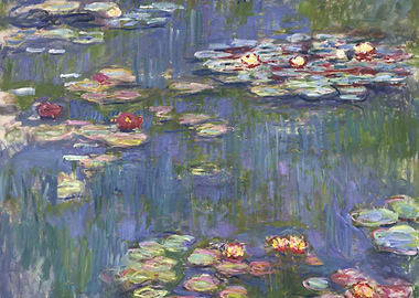 Water lilies