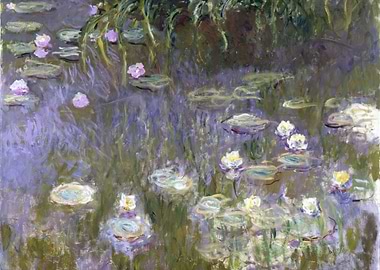 Water lilies
