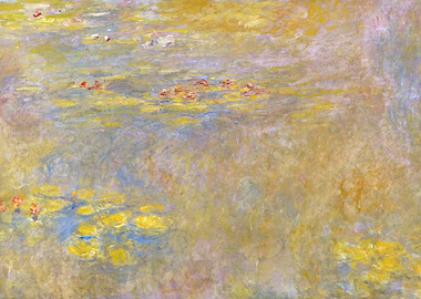 Water lilies