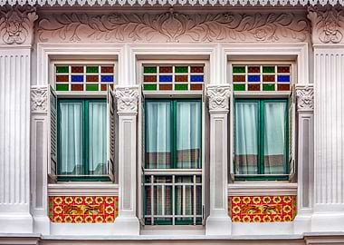The Singapore Shophouse