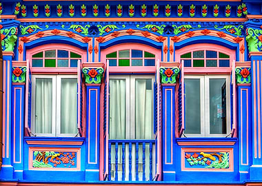 The Singapore Shophouse