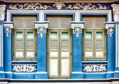 The Singapore Shophouse