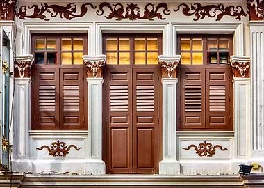 The Singapore Shophouse