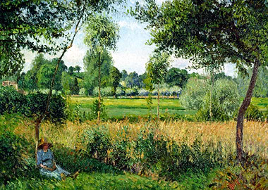 Morning Sunlight Effect