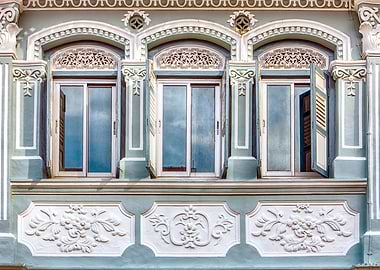 The Singapore Shophouse