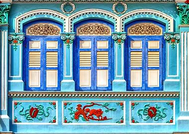 The Singapore Shophouse