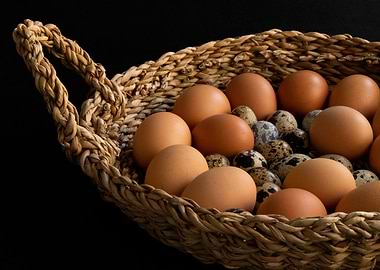 Basket of Eggs on an Angle