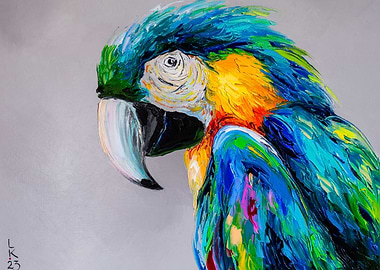 Macaw 2