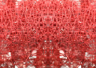 Strange tropical flowering